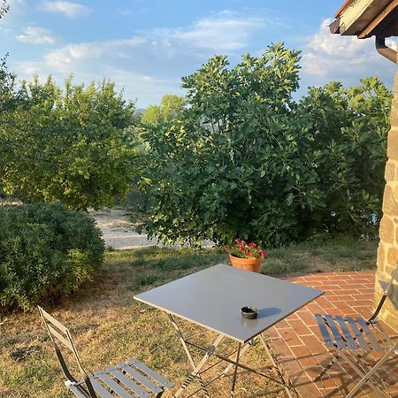 Agriturismo Sant'Angelo Holiday Farm Гуальдо-Каттанео Экстерьер фото